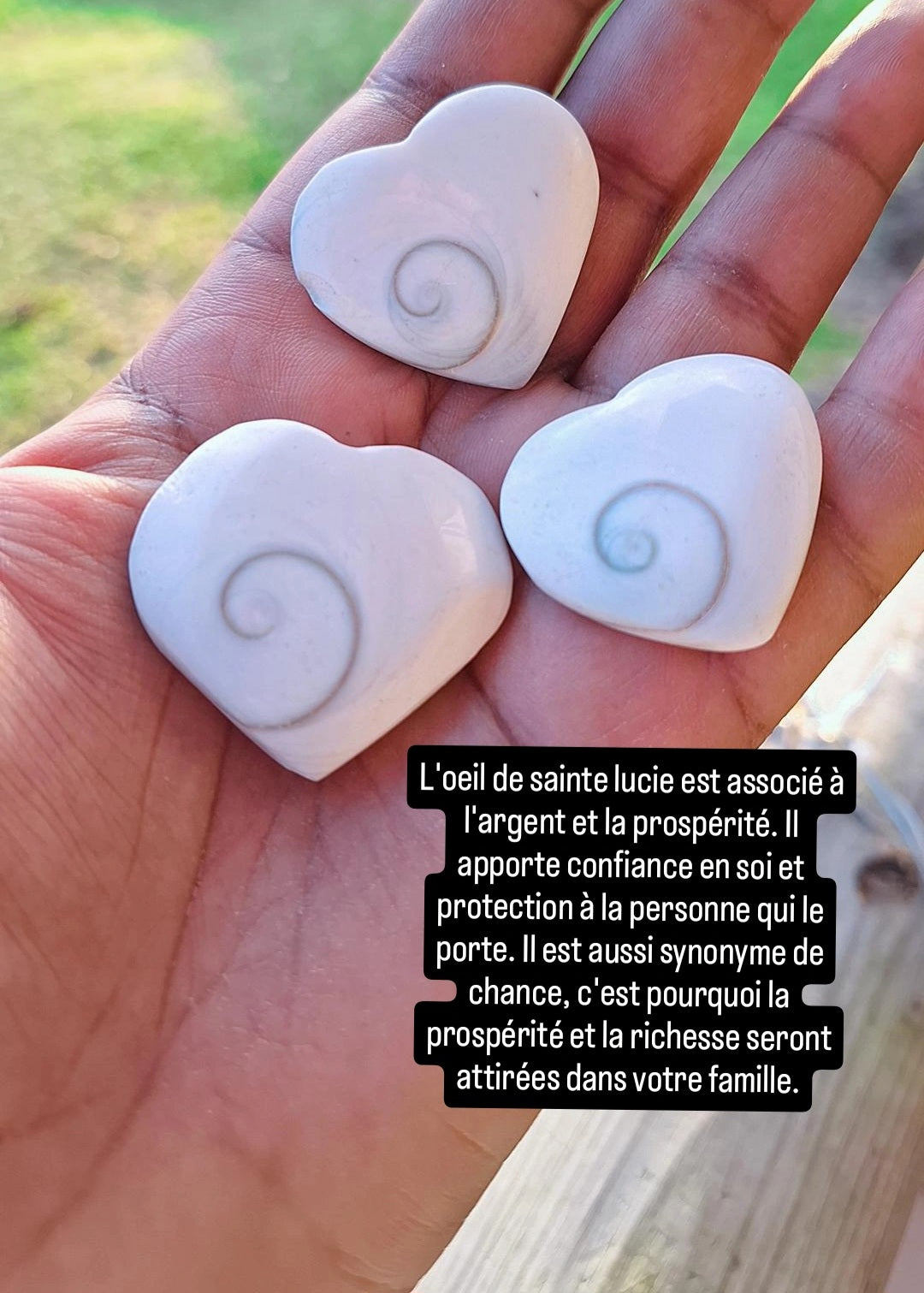 Coeur œil de Sainte lucie