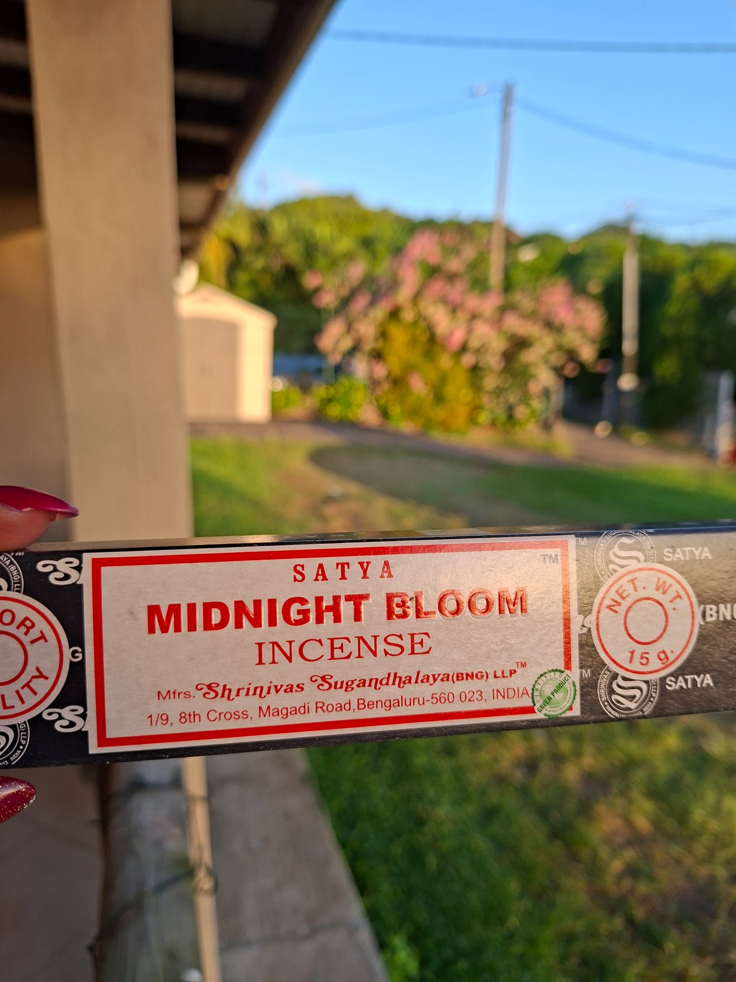 Encens midnight bloom
