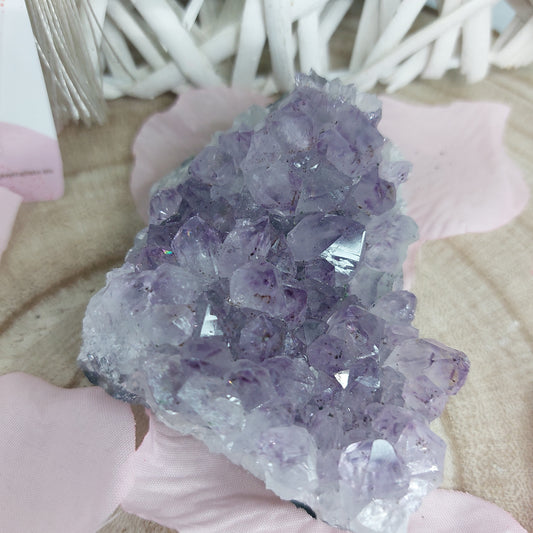 Druse Amethyste