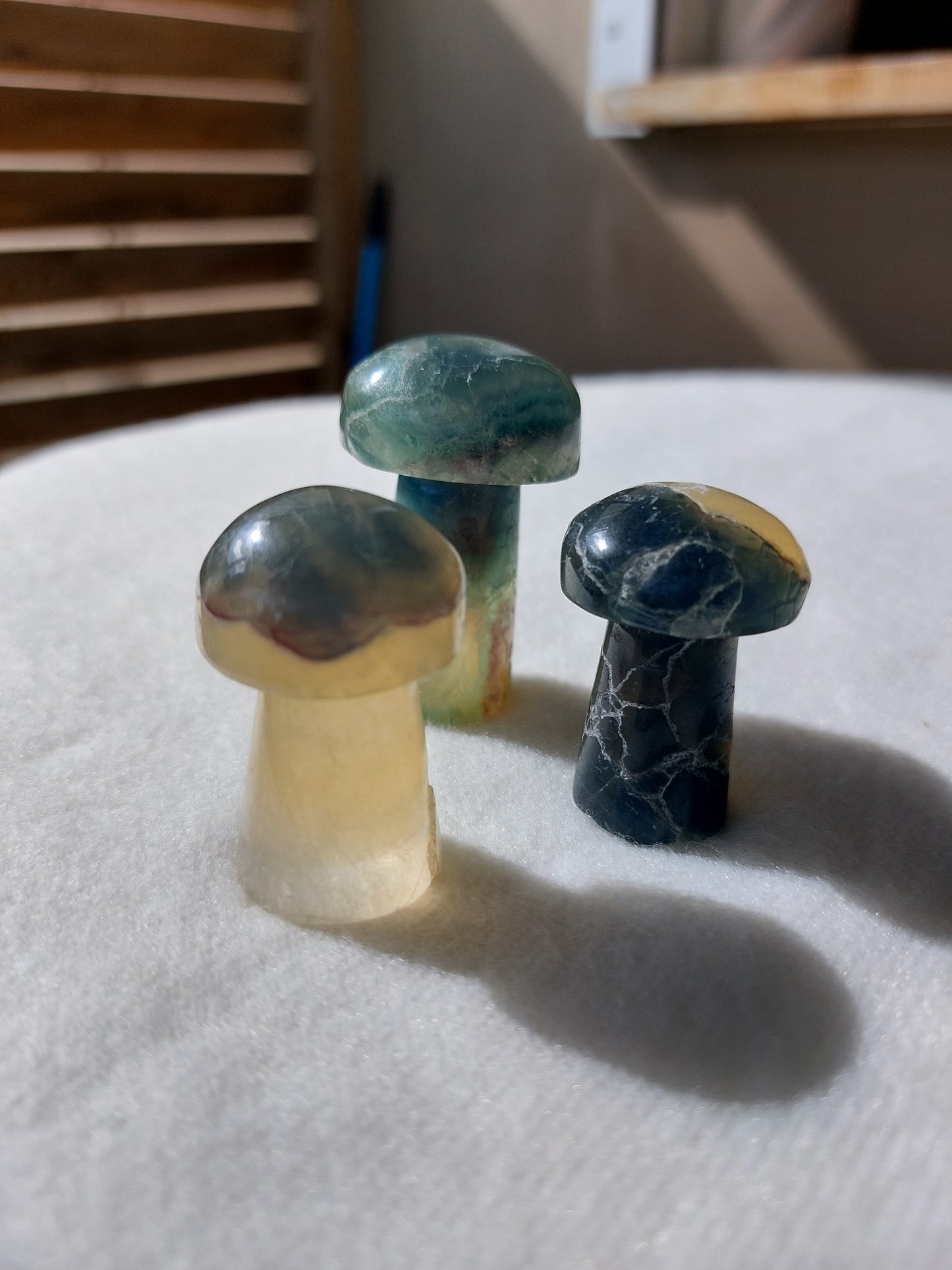 Fluorite champignons