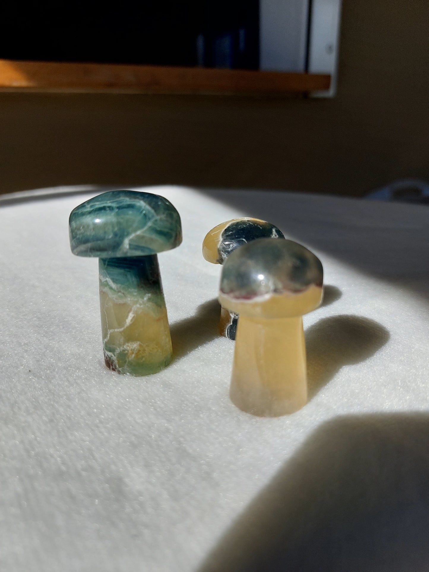 Fluorite champignons